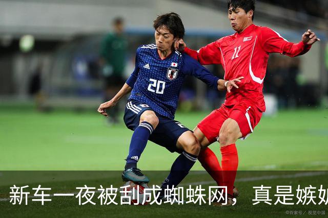 新车一夜被刮成蜘蛛网，真是嫉妒作祟还是集体误判？