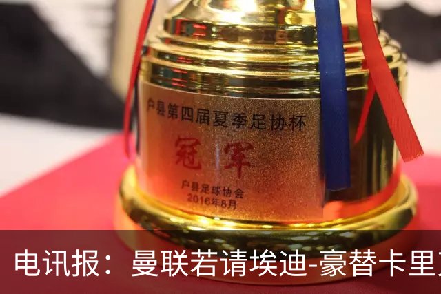 电讯报：曼联若请埃迪-豪替卡里克，需向纽卡支付最多600万镑