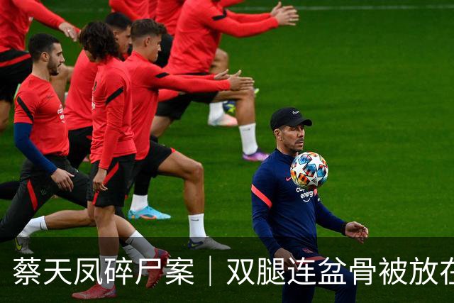蔡天凤碎尸案｜双腿连盆骨被放在冰箱内，政府化验师形容“骨上面有点肉”
