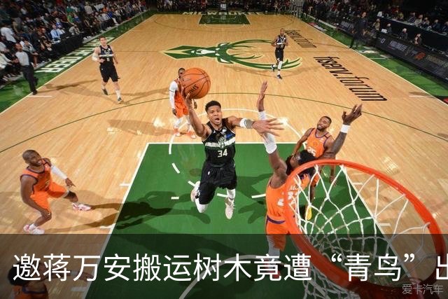 邀蒋万安搬运树木竟遭“青鸟”出征，清洁队长：我好内疚、很难过